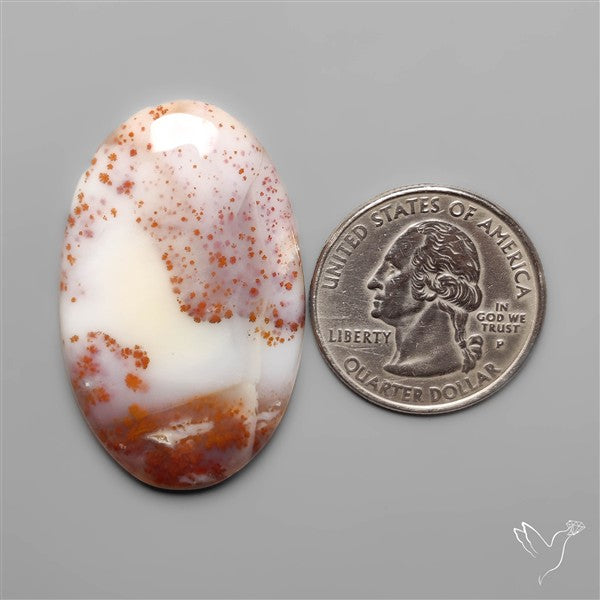 Russian Dendritic Agate