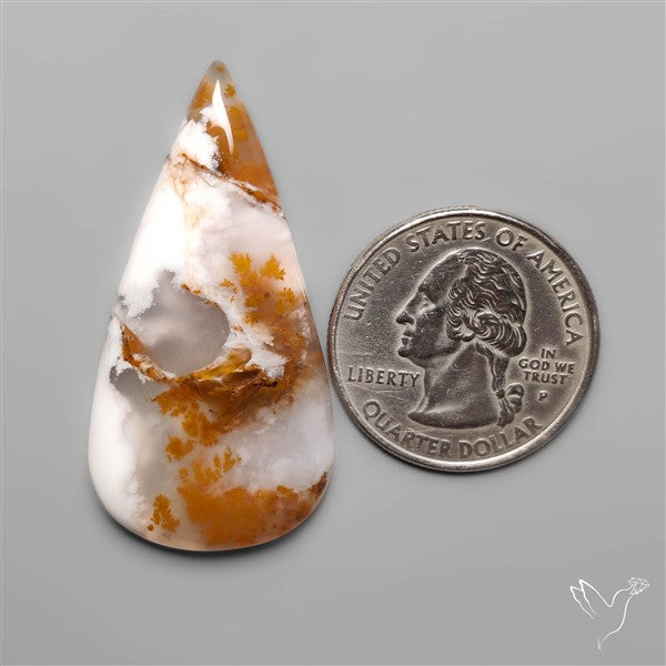 Russian Dendritic Agate