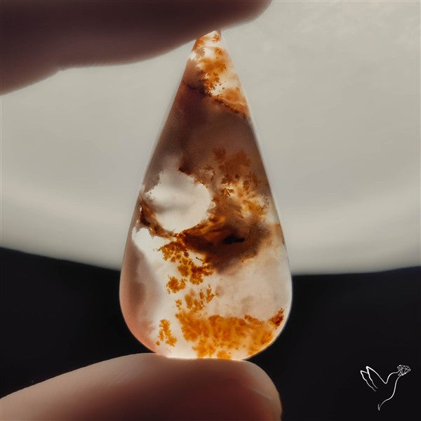 Russian Dendritic Agate