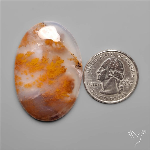 Russian Dendritic Agate