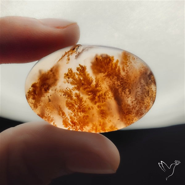 Russian Dendritic Agate