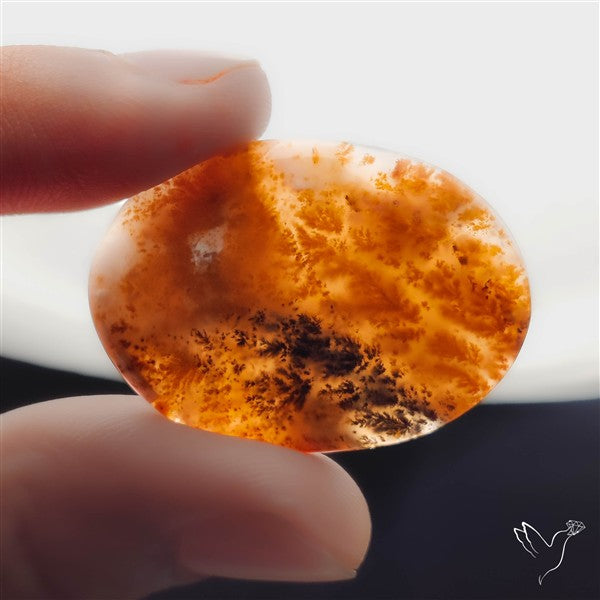 Russian Dendritic Agate