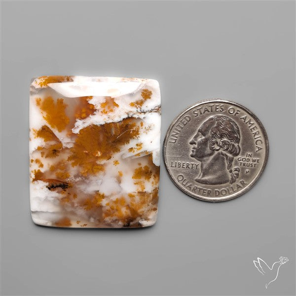 Russian Dendritic Agate