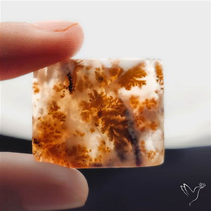 Russian Dendritic Agate