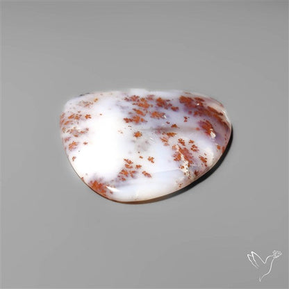 Russian Dendritic Agate