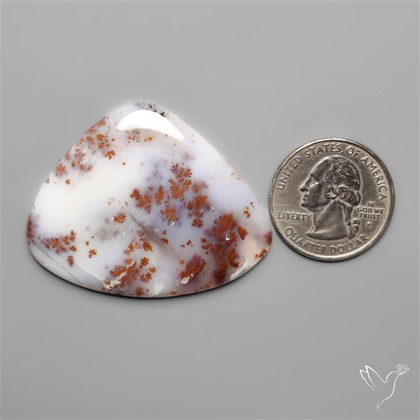 Russian Dendritic Agate