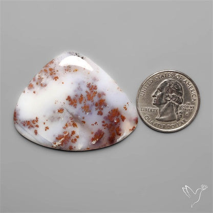 Russian Dendritic Agate