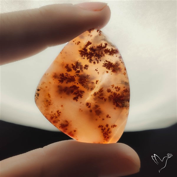 Russian Dendritic Agate