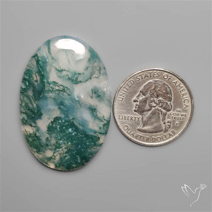 Moss Agate Cabochon