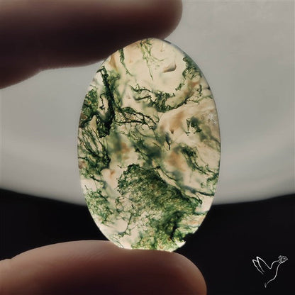 Moss Agate Cabochon
