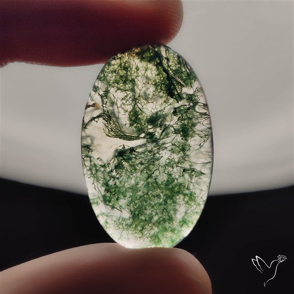 Moss Agate Cabochon