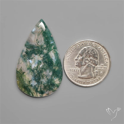 Moss Agate Cabochon