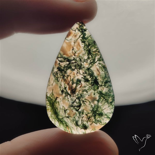 Moss Agate Cabochon