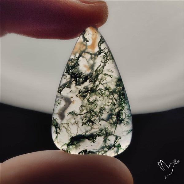 Moss Agate Cabochon
