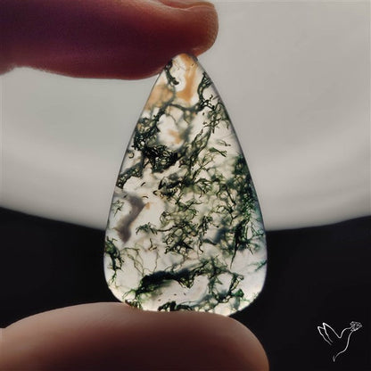 Moss Agate Cabochon