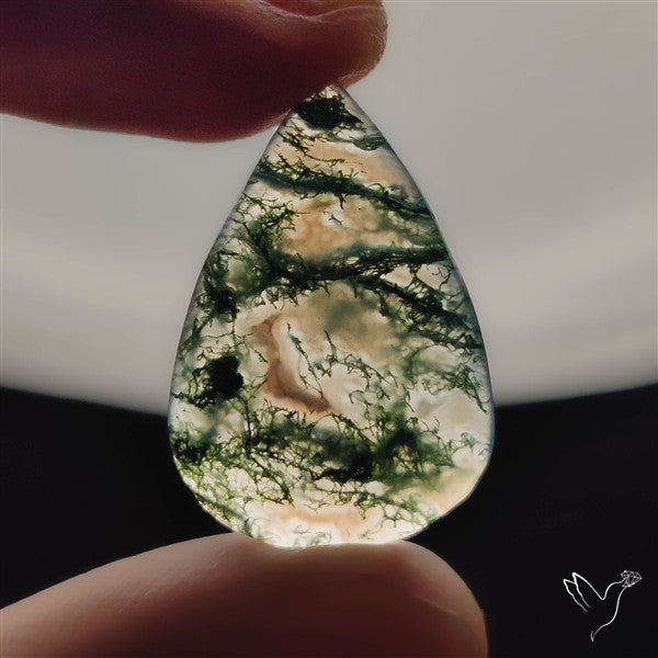 Moss Agate Cabochon