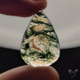 Moss Agate Cabochon
