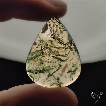 Moss Agate Cabochon