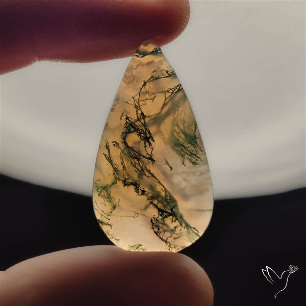 Moss Agate Cabochon