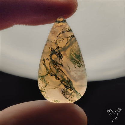Moss Agate Cabochon
