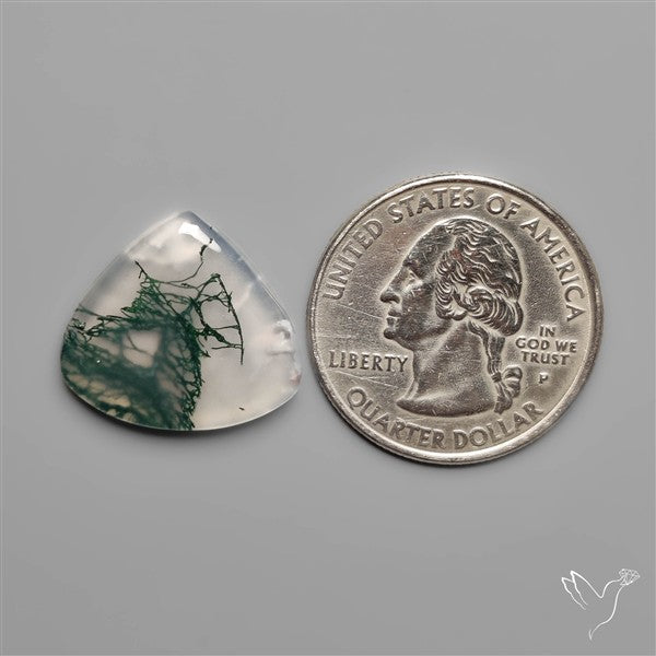 Moss Agate Cabochon