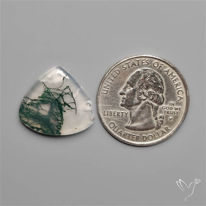 Moss Agate Cabochon