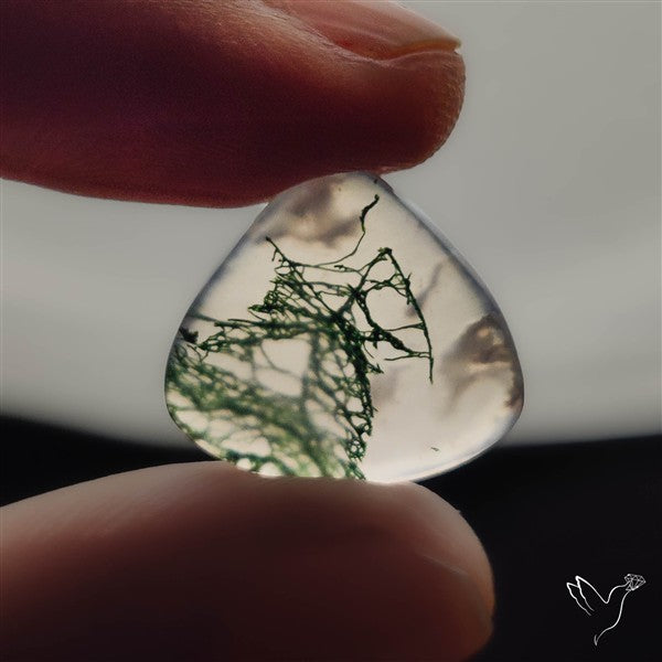 Moss Agate Cabochon