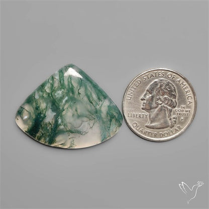 Moss Agate Cabochon