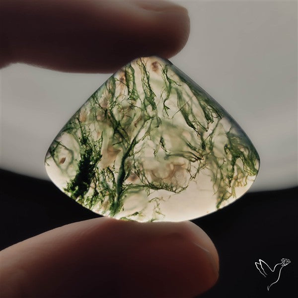 Moss Agate Cabochon