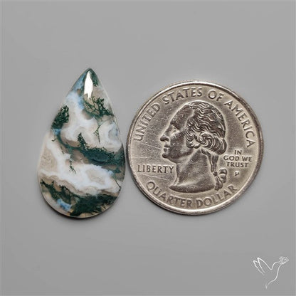 Moss Agate Cabochon