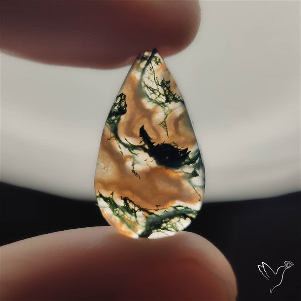 Moss Agate Cabochon