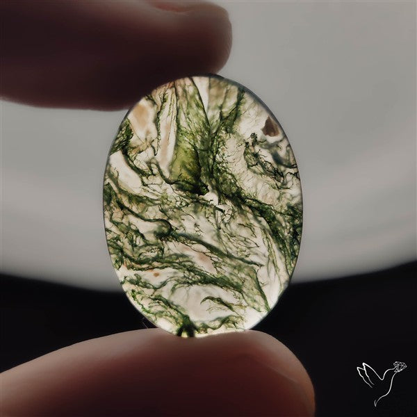 Moss Agate Cabochon