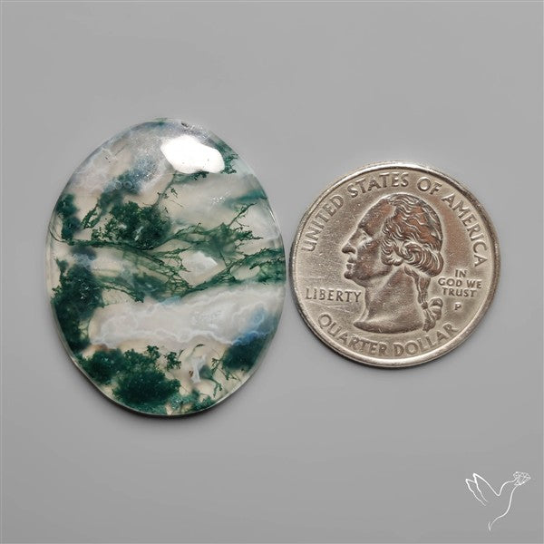 Moss Agate Cabochon