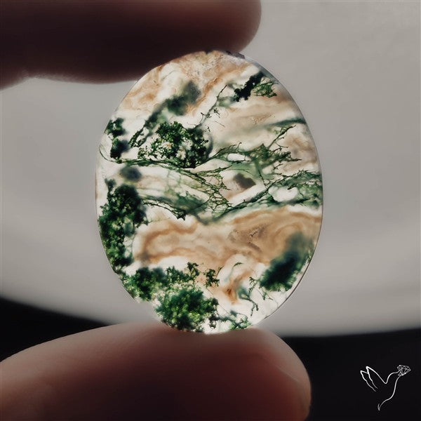 Moss Agate Cabochon