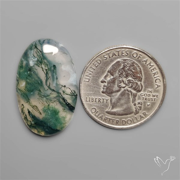 Moss Agate Cabochon