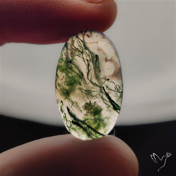 Moss Agate Cabochon