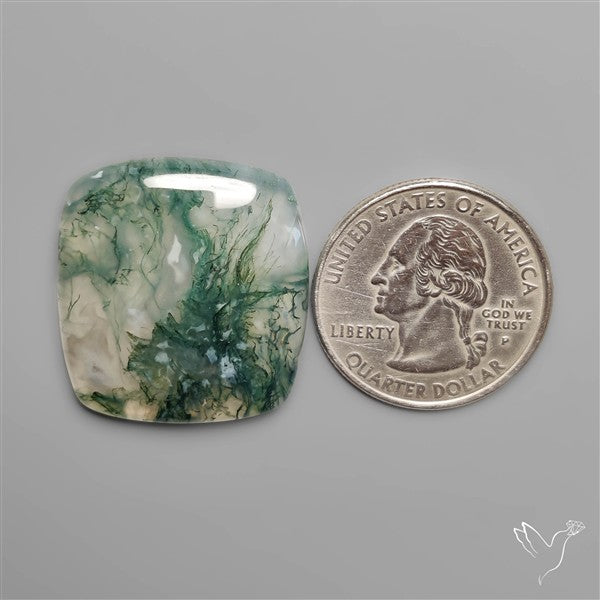 Moss Agate Cabochon