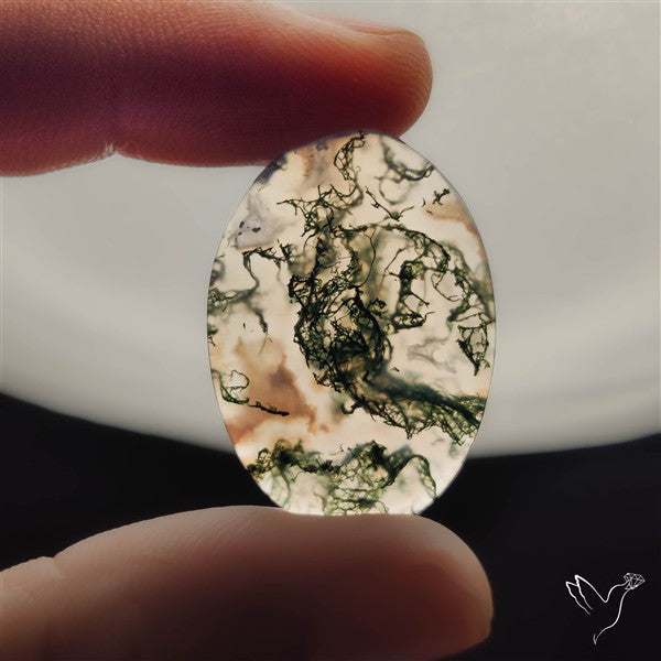 Moss Agate Cabochon