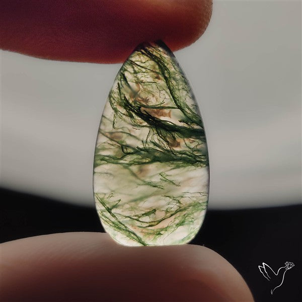 Moss Agate Cabochon