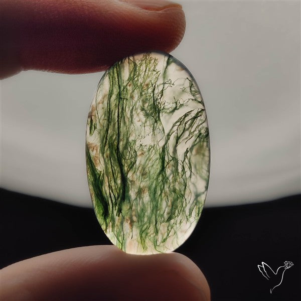 Moss Agate Cabochon