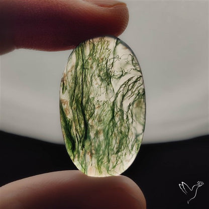 Moss Agate Cabochon