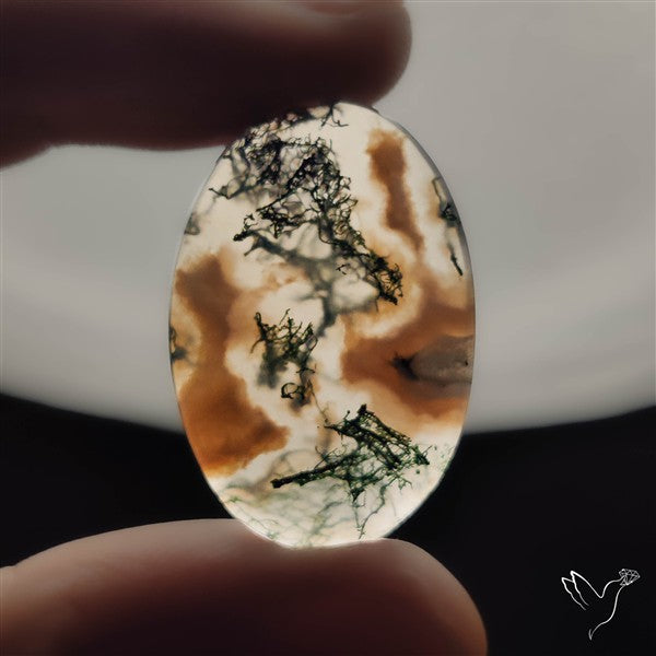 Moss Agate Cabochon
