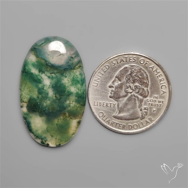 Moss Agate Cabochon