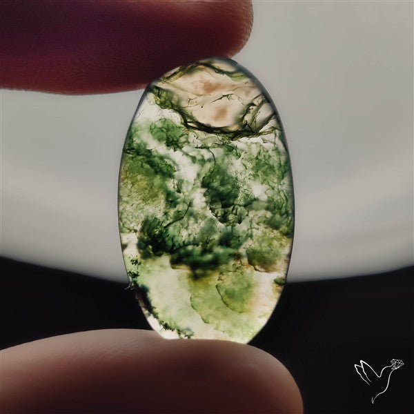 Moss Agate Cabochon