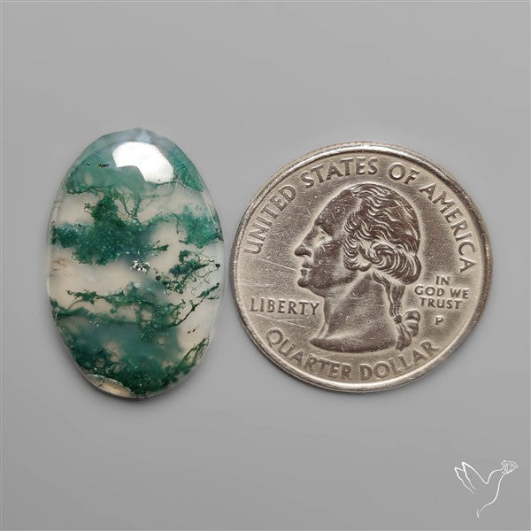 Moss Agate Cabochon