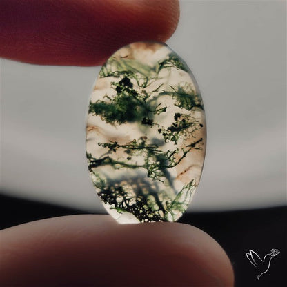 Moss Agate Cabochon
