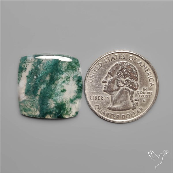 Moss Agate Cabochon