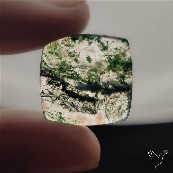 Moss Agate Cabochon