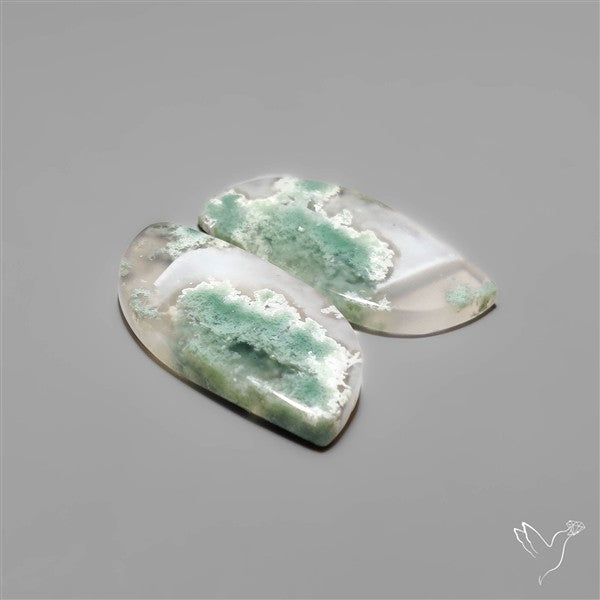 Moss Agate Pair