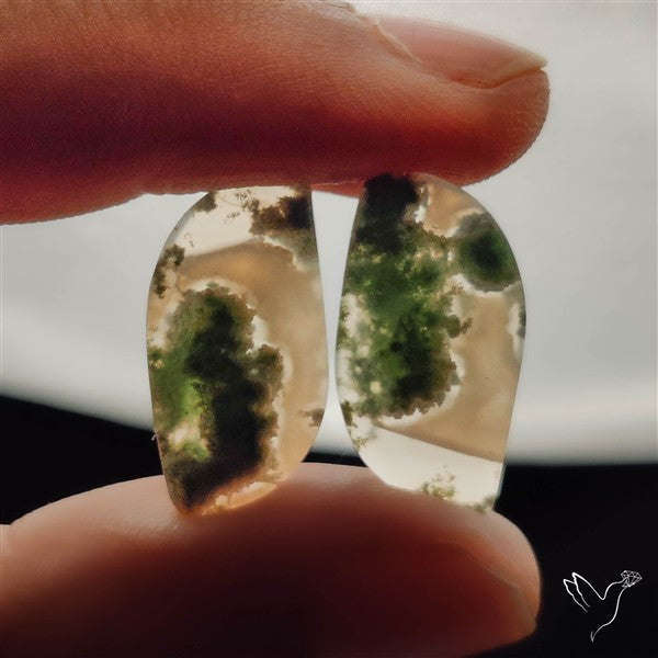 Moss Agate Pair